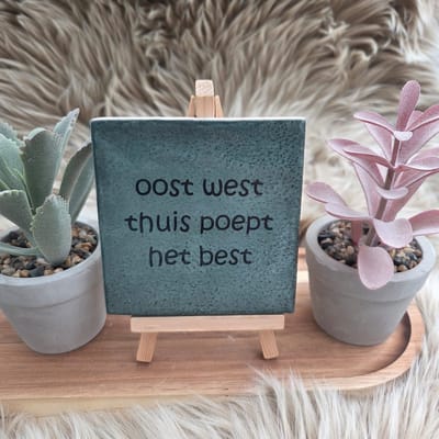 Robuust wenstegeltje “oost west thuis poept het best” – Keramiek 10x10 cm – Humoristische Wanddecoratie & Cadeau – Cadeau vrienden,zomaar – Humor tegeltje - Grappige tekst tegel – WC decoratie humor
