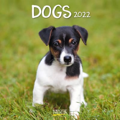 Kalender - 2022 - Honden - 30x30cm