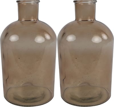 Countryfield bloemen/takken Vaas - 2x stuks - lichtbruin glas - Apotheker fles - D14 x H27 cm