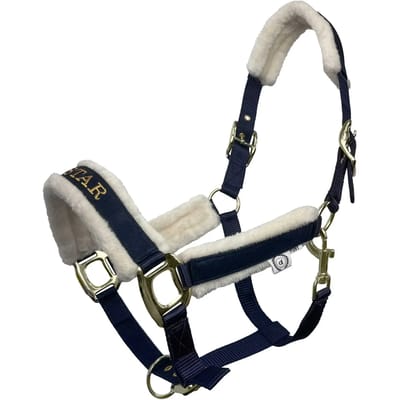 Bont halster voor paard JD Attack Halter Superstar