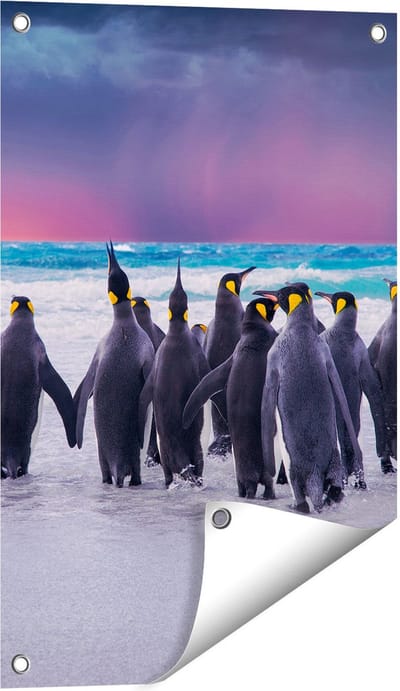 Gards Tuinposter Groep Pingu�ns bij het Water - Kudde - 40x60 cm - Tuindoek - Tuindecoratie - Wanddecoratie buiten - Tuinschilderij