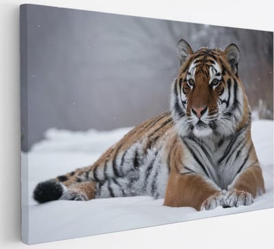 Saammp Canvas Schilderij - Tijger in de sneeuw - Natuur - Dieren - 30x20 - Foto op canvas - Wanddecoratie - muurdecoratie Woonkamer - Slaapkamer decoratie - Canvas Print