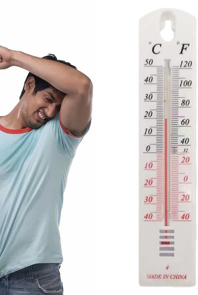 Temperatuurmeter Binnen Buiten - Weerindicator Monitor - Klimaat Bewaken - Nauwkeurig Bereik -40 tot 50