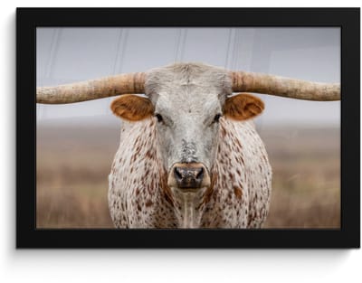 Poster in lijst - Fotolijst 30x20 cm - Posters - Longhorn - Grasveld - Dier - Posterlijst zwart - Decoratie - Wanddecoratie woonkamer - Muurdecoratie slaapkamer