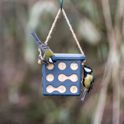 CJ Wildlife Vetblokhouder voor Vogels - Rome - Mezenbolhouder voor 1 Vetblok - Voederhuisje Hangend van Plantbased Materiaal - Antraciet