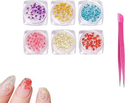 Dailygoods - Natuurlijke droogbloemen voor nagels - 6 kleuren nageldecoratieset