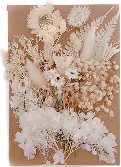 Gedroogde Bloemen - Natuurlijke Decoratie - Creatief Hobbywerk - Echte Natuurlijke Materialen - Diverse Soorten - Natuurlijke Kleuren