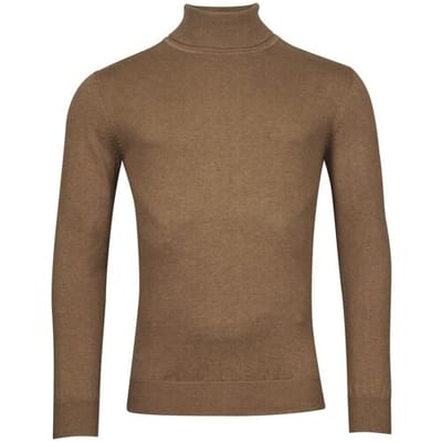 Baileys Trui Pima Cotton Uni Color Single Knit Rollneck Bruin / male
