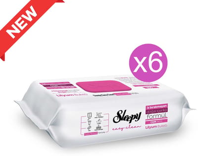 Sleepy Easy Clean Reinigingsdoekjes Lilyum Bouquet – 6 x 100 Stuks – 600 Multifunctionele Vochtige Schoonmaakdoekjes voor Alle Oppervlakken - Yuzey Temizleme Mendili Lilyum - Surface cleaning wipe lily