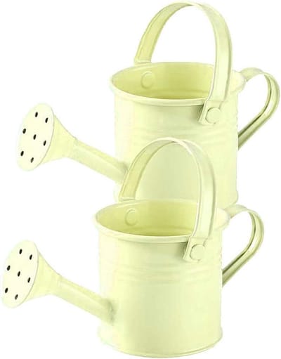 Kleine gieter - Planten watergever - Binnen en buiten - Versterkt handvat - 20 OZ inhoud - Beige