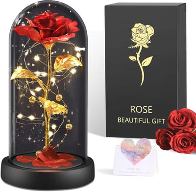 Eeuwige Roos in Glas - Perfecte Verrassing voor Vrouwen, Moeders en Verjaardagen