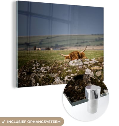 MuchoWow® Glasschilderij 120x90 cm - Schilderij acrylglas - Schotse Hooglander - Stenen - Gras - Foto op glas - Schilderijen