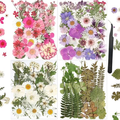 110 Stuks Echte Geperste Bloemen voor Hars, Knutselen en Kaarsen Maken