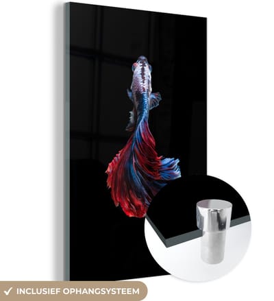 MuchoWow® Glasschilderij 100x150 cm - Schilderij acrylglas - Vis - Staart - Zwart - Foto op glas - Schilderijen