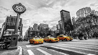 New York City Cabs Photo Wallcovering