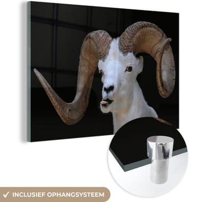MuchoWow® Glasschilderij 150x100 cm - Schilderij acrylglas - Bok - Dieren - Hoorn - Foto op glas - Schilderijen