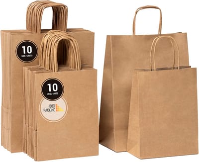 Set van 20 Kraft Papieren Zakken met Handvatten | Twee Maten voor Cadeaus en Verpakking