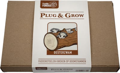 Oesterzwam Plug & Grow set - Zelf oesterzwammen kweken in je tuin op boomstammen - Duurzaam kweek cadeau