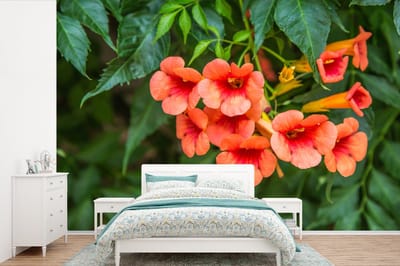 Behang - Fotobehang Bloemen - Klimplant - Oranje - Natuur - Botanisch - Breedte 600 cm x hoogte 400 cm