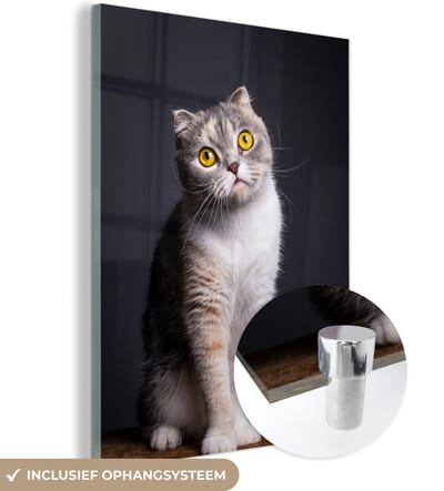 MuchoWow® Glasschilderij 120x160 cm - Schilderij acrylglas - Kat - Ogen - Licht - Foto op glas - Schilderijen
