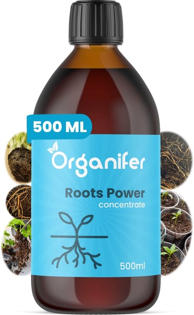 Wortelstimulator (500ml) Roots Power Concentraat - Stekmiddel - Betere en Snellere Wortelontwikkeling - Universeel - o.a. Voor Kweken en Stekken - Verplanten - Ontwikkelfase - Vergroot Voedingsstoffen Opname en Resultaat - Organifer