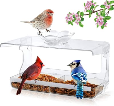 Vogelvoederbak - Voerhuisje raam - Vogels voeren - Sterke zuignappen - 7.6 x 25.4 cm - Transparant