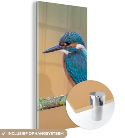 MuchoWow® Glasschilderij 20x40 cm - Schilderij acrylglas - Vogel - IJsvogel - Dieren - Tak - Foto op glas - Schilderijen
