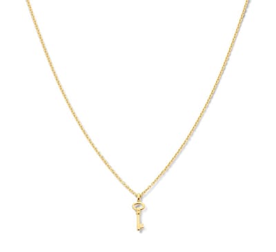 Zilver Verguld Collier sleutel 1 2101740