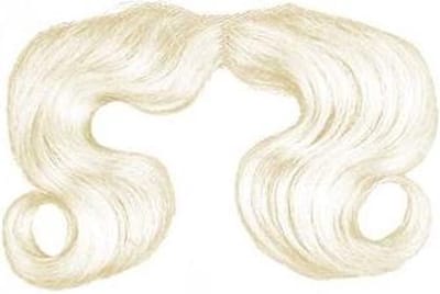 Witbaard Sintsnor/baard Kanekalonhaar Wit