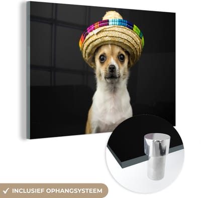 MuchoWow® Glasschilderij 120x80 cm - Schilderij acrylglas - Hond - Sombrero - Zwart - Foto op glas - Schilderijen