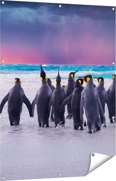 Gards Tuinposter Groep Pingu�ns bij het Water - Kudde - 90x120 cm - Tuindoek - Tuindecoratie - Wanddecoratie buiten - Tuinschilderij
