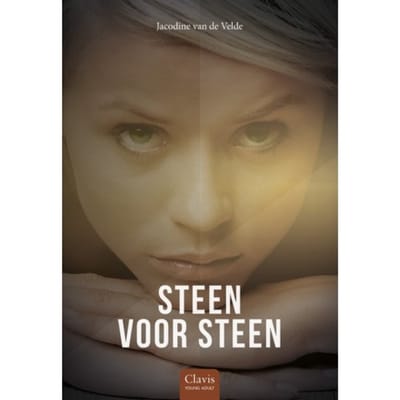 Steen Voor Steen - Jacodine van de Velde