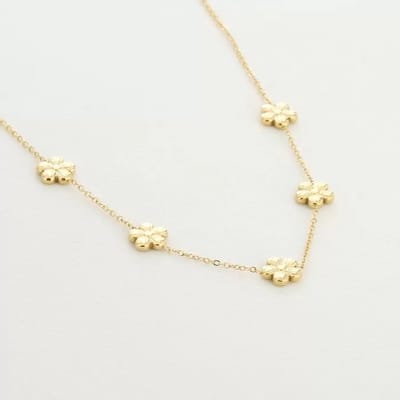 Bijoutheek Collier Bloemen Goud