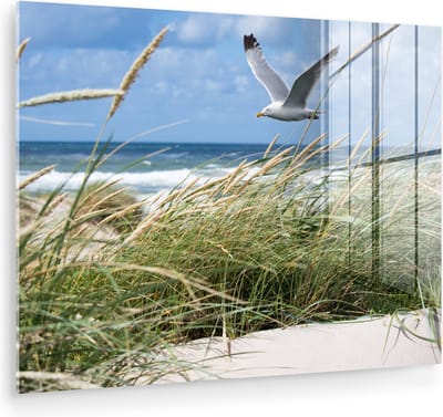 MuchoWow® Glasschilderij 120x90 cm - Schilderij acrylglas - Strand - Vogel - Planten - Foto op glas - Muurdecoratie woonkamer - Wanddecoratie slaapkamer - Schilderijen