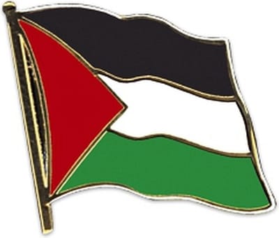 Scoby - Palestina Pin - Broche - Vlag van Palestina - Palestina Pin - Kleine Broche - 3.5CM - Groen/Rood/Zwart