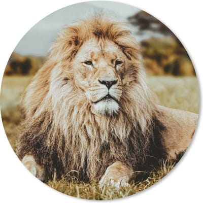 Muismat rond 20x20 cm - Mousepad Dieren - Wild - Bruin - Ronde muismatten