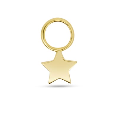 New Bling - 9NBG-O116-L - 14K goud – Oorbelhanger - per stuk – Ster Links