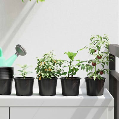 vidaXL - Ronde - Bloempot - 50 - st - Zwart - Ø - 10 - x - 8 - cm - Kunststof