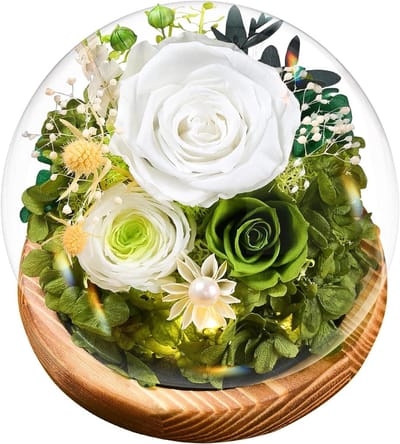 Eeuwige Roos - Bloem onder bel - Romantisch cadeau - 3-5 jaar houdbaar - 3.8-5cm bloemhoofd - Wit