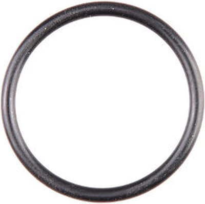 Gloria O-ring