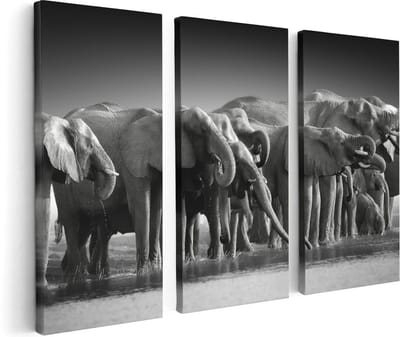 Artaza Canvas Schilderij Drieluik Groep Olifanten Bij Het Water - Zwart Wit - 120x80 - Foto Op Canvas - Canvas Print