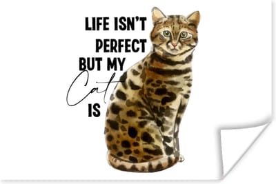 Poster Katten - Spreuken - Quotes - Life isn't perfect but my cat is - 180x120 cm XXL