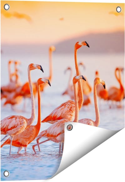 Gards Tuinposter Kudde Flamingo's in het Water - 40x50 cm - Tuindoek - Tuindecoratie - Wanddecoratie buiten - Tuinschilderij