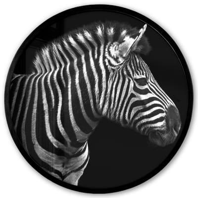 Poster in lijst Rond - Fotolijst 40x40 cm - Posters - Zebra - Zwart - Wit - Portret - Dieren - Ronde posterlijst zwart - Decoratie - Wanddecoratie woonkamer - Muurdecoratie slaapkamer