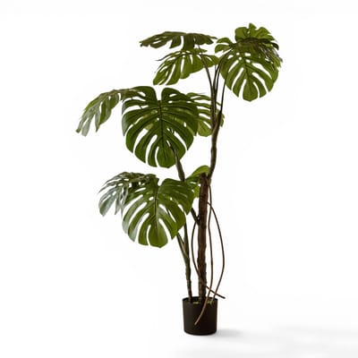 Indore Silva Monstera Kunstplant 160 cm – Gatenplant – Grote Kamerplant – Onderhoudsvrij