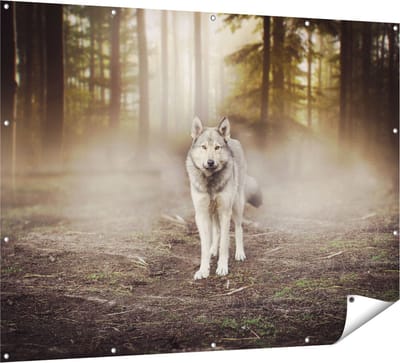 Gards Tuinposter Grijze Wolf in het Bos - 160x120 cm - Tuindoek - Tuindecoratie - Wanddecoratie buiten - Tuinschilderij