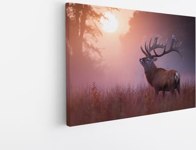 Saammp Canvas Schilderij - Hert in zonsopgang - Natuur - Dierenen - 45x30 - Foto op canvas - Wanddecoratie - Muurdecoratie Woonkamer - Slaapkamer decoratie - Canvas Print