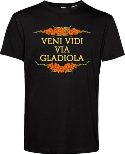 T-shirt Veni Vidi Via Gladiola | Vierdaagse shirt | Wandelvierdaagse Nijmegen | Roze woensdag | Zwart | maat XS