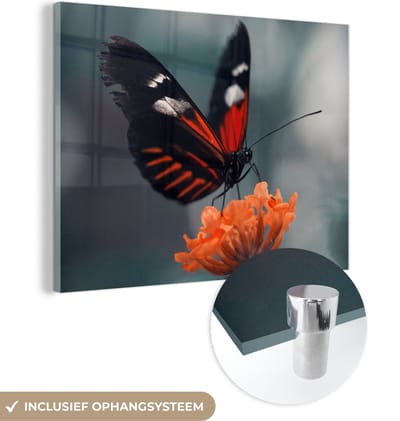 MuchoWow® Glasschilderij 40x30 cm - Schilderij acrylglas - Vlinder - Bloemen - Insect - Foto op glas - Schilderijen