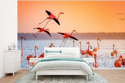 Behang - Fotobehang Vogel - Flamingo - Water - Zonsondergang - Roze - Breedte 400 cm x hoogte 300 cm